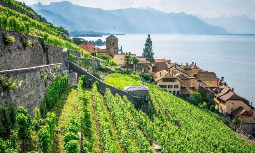 lavaux