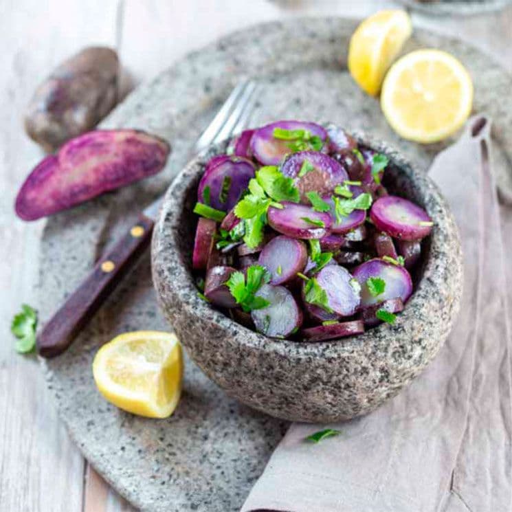 ensalada violeta adobe