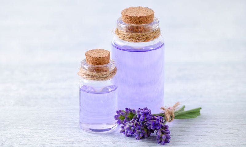 lavanda