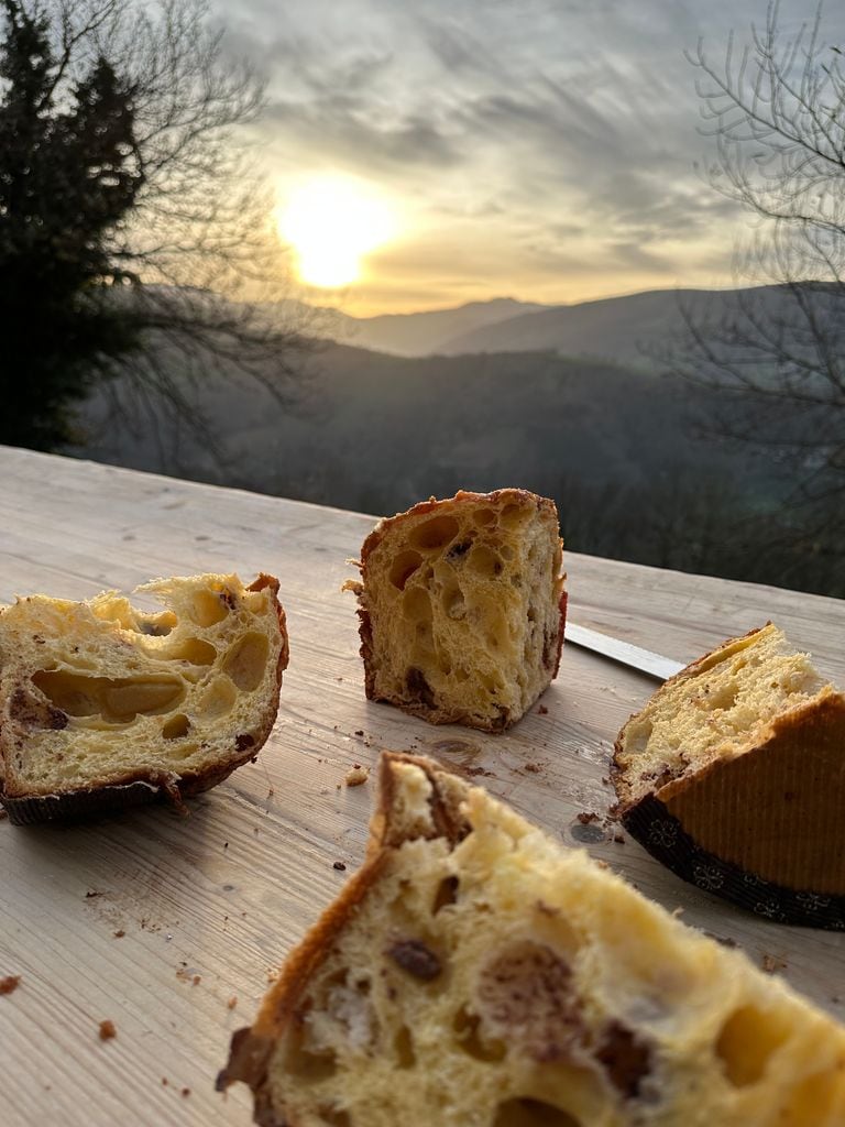 Panettone 'Maninttone'