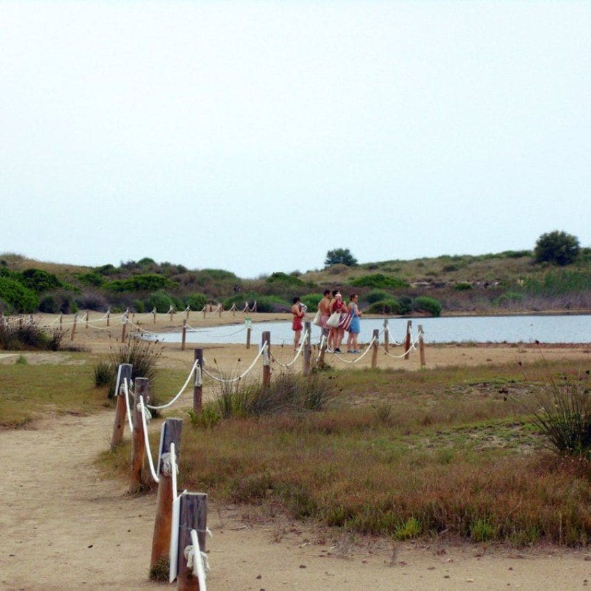 Observación de aves en el lago del Pujol.