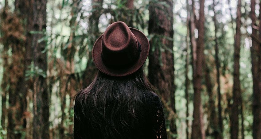 Baños de Bosque, una experiencia de ecoturismo que te acerca a la naturaleza