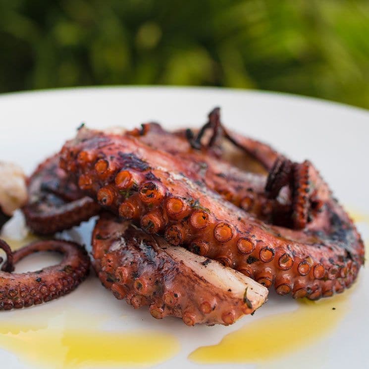 pulpo miso getty