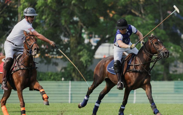 Partido de Polo