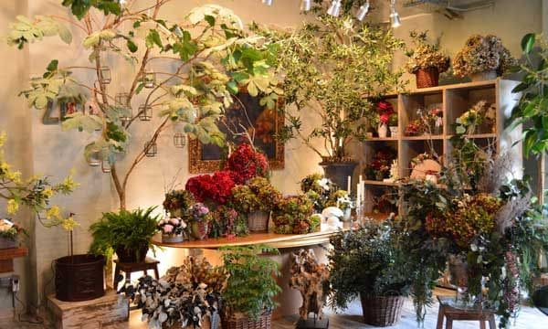 Llorens & Durán (llorensyduran.eu) abren las puertas de su taller de flores, ofreciendo un bosque mágico en pleno Madrid.
