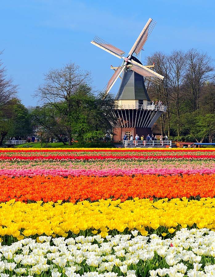 Keukenhof Holanda_a