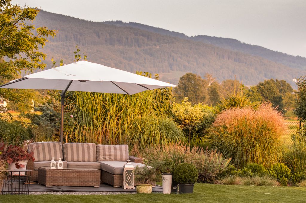 Jardín en otoño, con plantas que otoñean