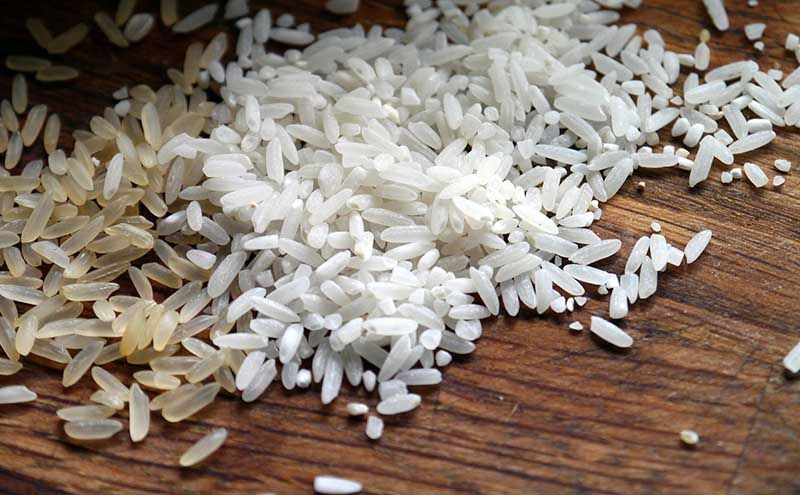 rice 498688_1920