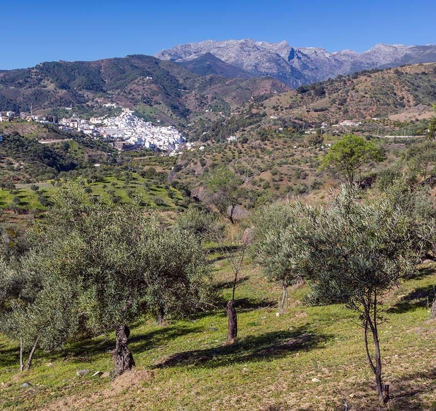 Tolox, pueblo blanco de Málaga