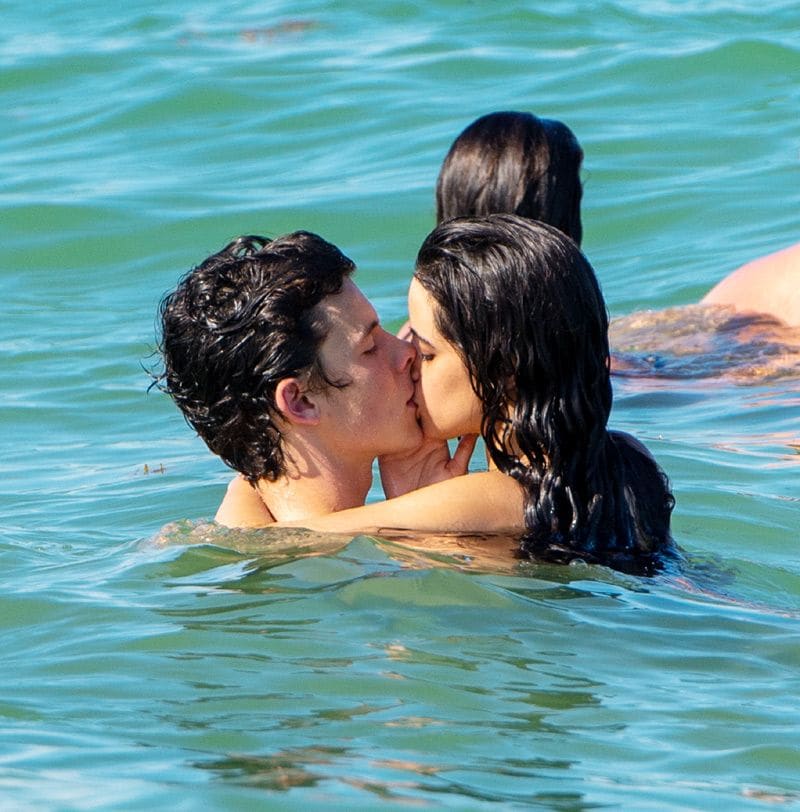 camila cabello shawn3