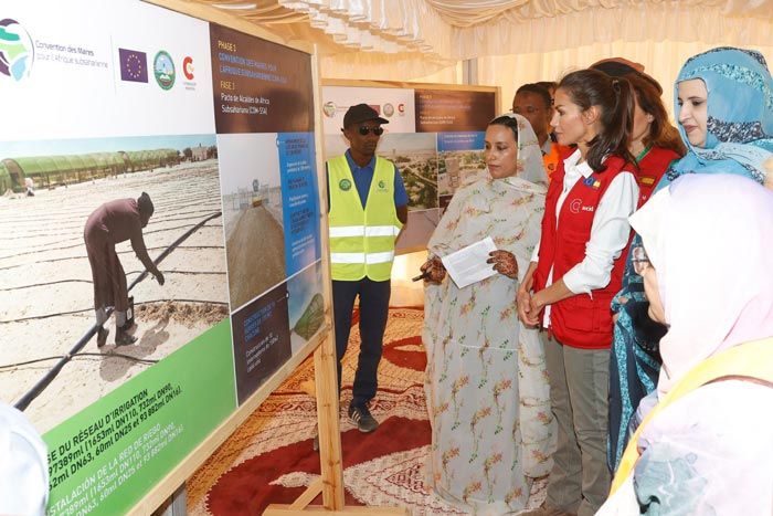 La reina Letizia comienza en el desierto su último día de visita a Mauritania