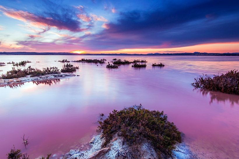 Laguna de las Matas Torrevieja