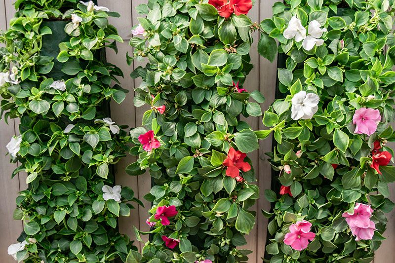 jardin vertical terraza 2