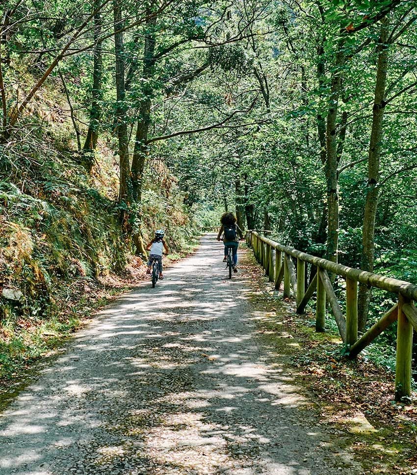 senda del oso asturias