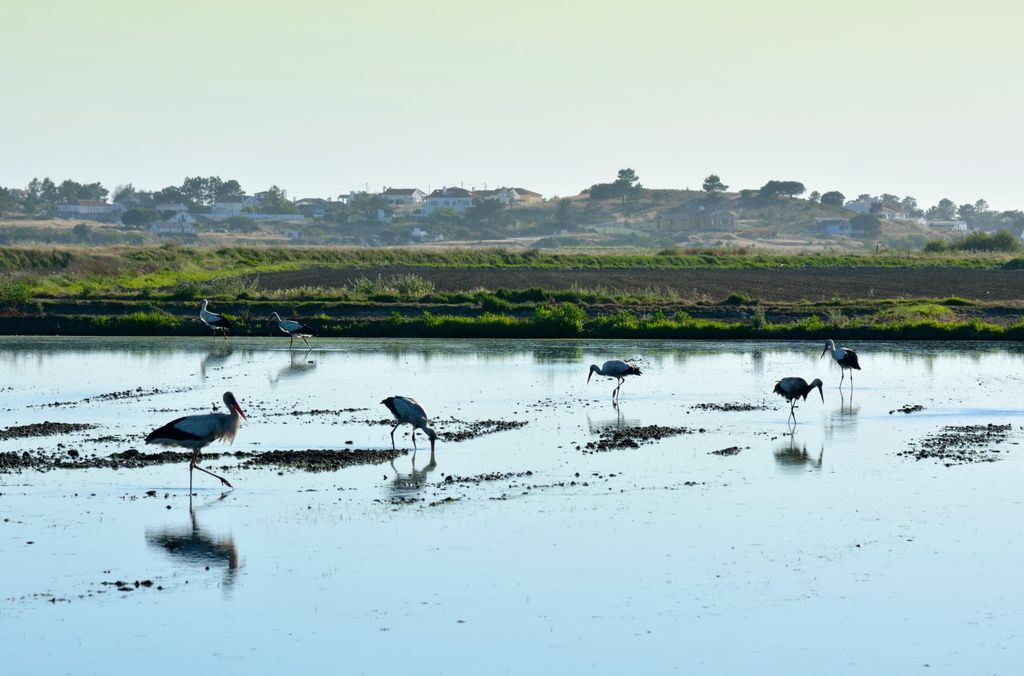 Melides, Portugal