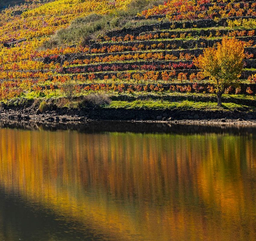 Enonatur, Ribeira-Sacra