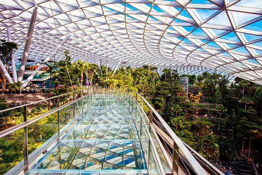 Aeropuertos, nuevos espacios de ocio, qué hacer: Changi Airport internacional de Singapur