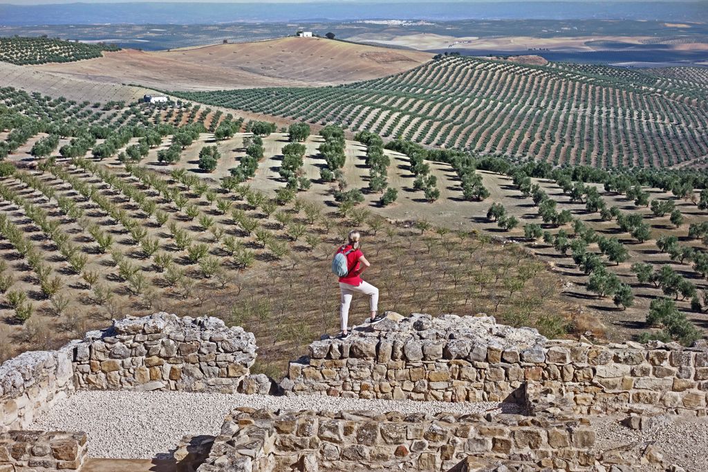 Vista desde el yacimiento arqueológico de Torreparedones, Baena, Córdoba