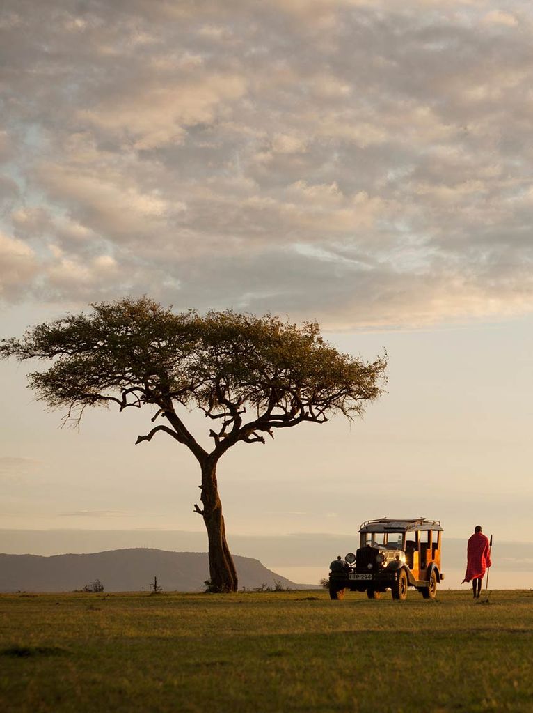 masai mara guerrero