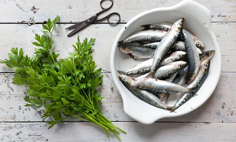 sardinas