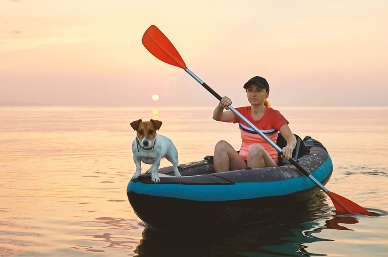 adobestockperro kayak