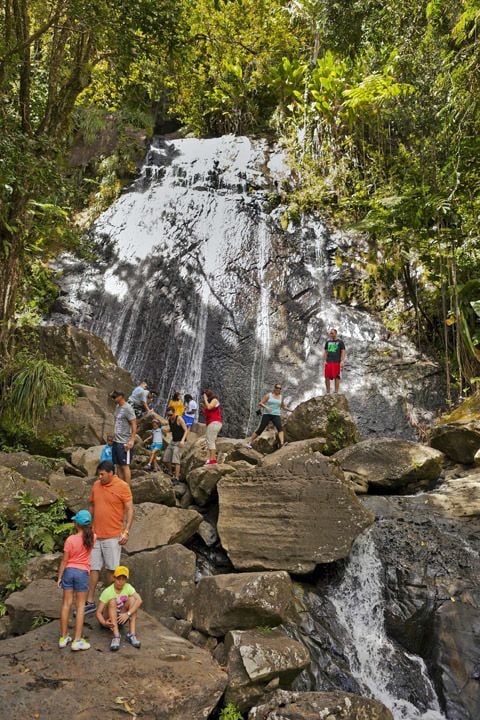 Ricky-martin-el-yunque-puerto-rico