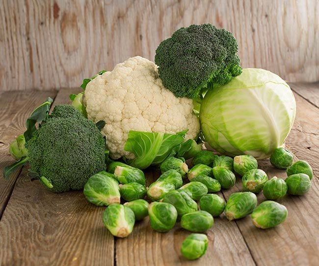 Coles de bruselas, brócoli, coliflor y repollo