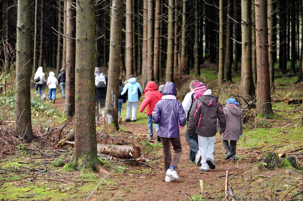 Niños dando un paseo por la naturaleza en invierno