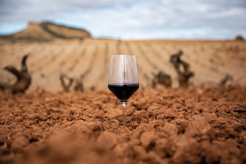 Copa de vino en la tierra de un viñedo