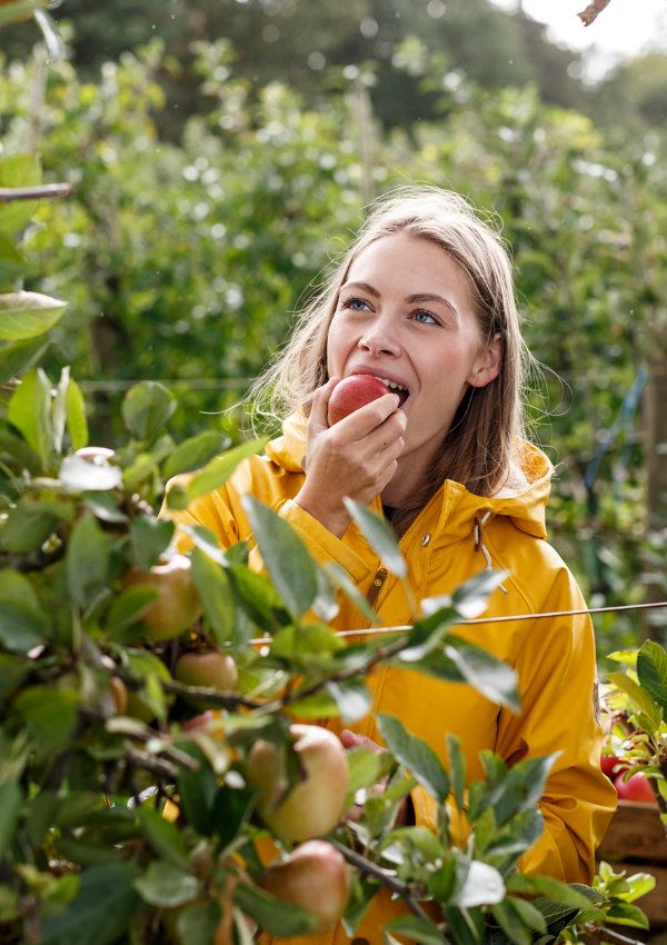 comer bien frutas