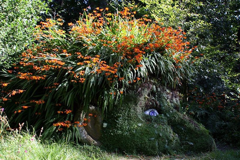 jardines-heligan-GiantsHead_a