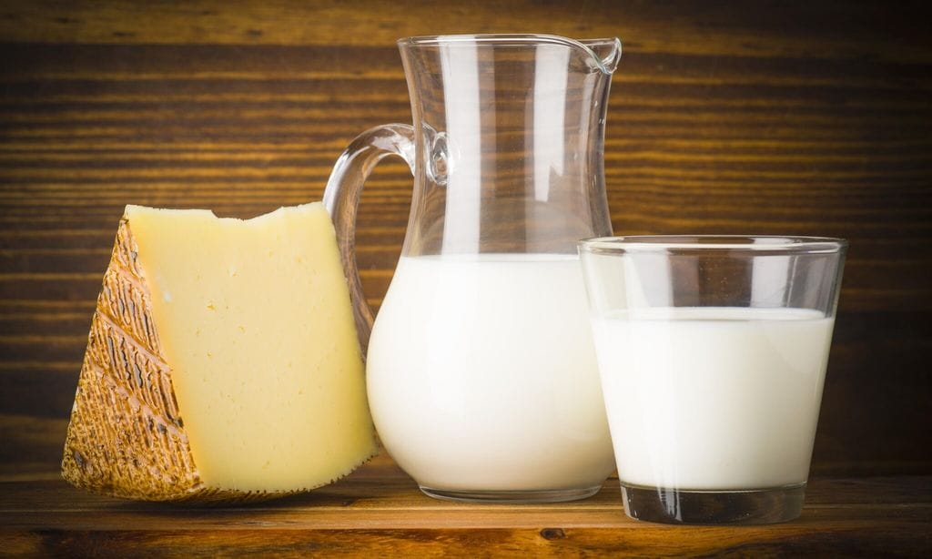 Productos lácteos, leche y queso