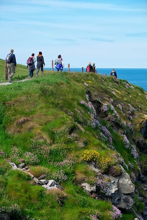 Acantilados-de-Moher-irlanda-camino