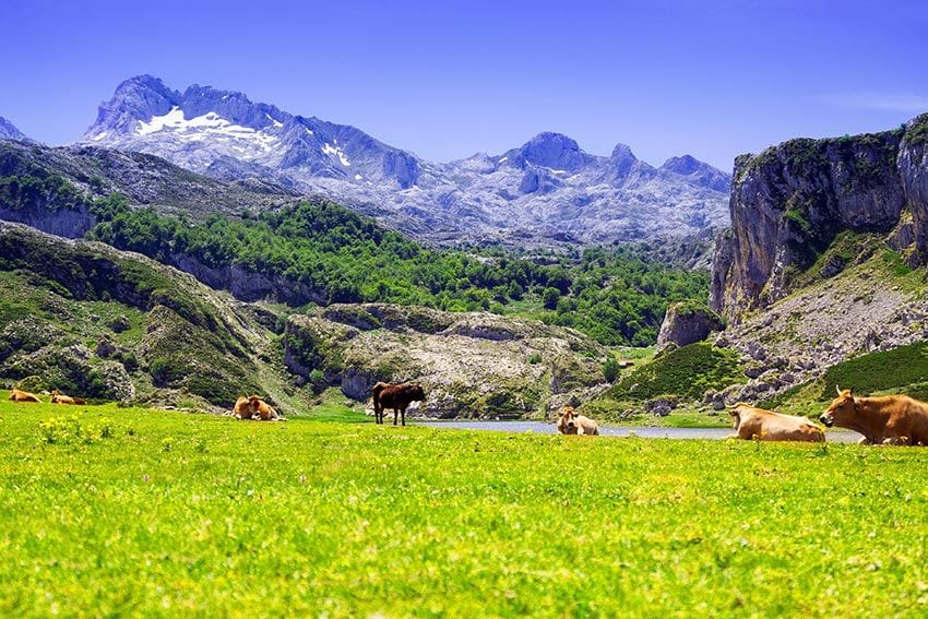 picos-de-europa-lagos-covadonga