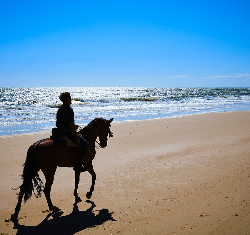 Caballos en la playa de Doñana, Huelva