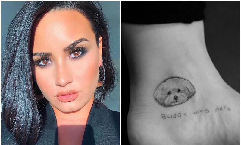 demi lovato dr woo tatuaje perrito woody 06 a