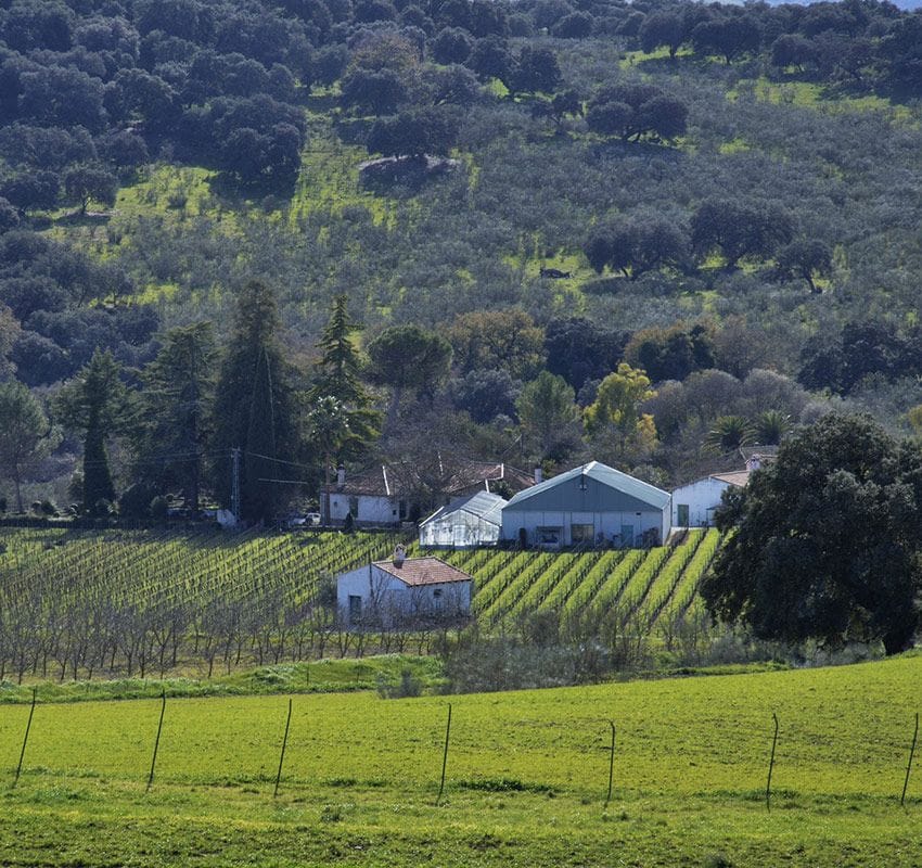 Bodega Shatz, Ronda, Málaga