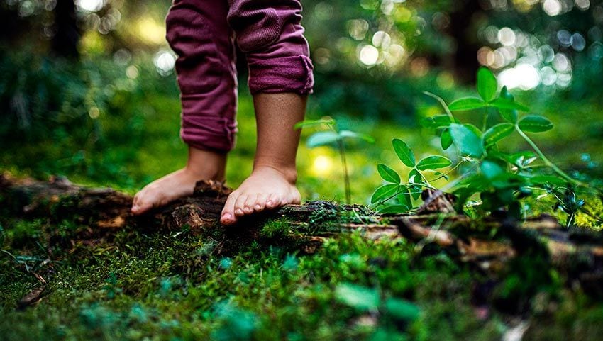 Pies descalzos que proporcionan un contacto con la naturaleza en el bosque