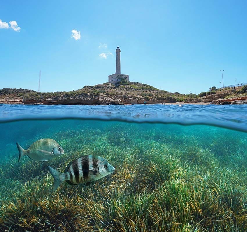 Cabo de Palos, Murcia