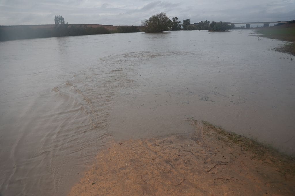 SEVILLE ANDALUSIA, SPAIN - OCTOBER 31: The Guadiana river as it passes through the SE-40, on October 31, 2024, in Seville (Andalusia, Spain). The rainstorm and adverse weather conditions that has hit Andalusia since last Monday has added another hundred incidents during the early hours of Thursday October 31, which puts at 1,441 recorded throughout the community since the beginning of the DANA, including a deceased Wednesday in a hospital in Malaga after being rescued the day before from his home in Alhaurin de la Torre. (Photo By Rocio Ruz/Europa Press via Getty Images)