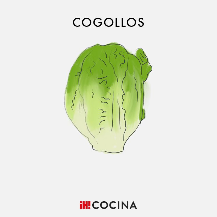 Cogollos