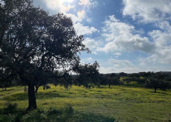 María José Campanario subiendo una foto de un campo