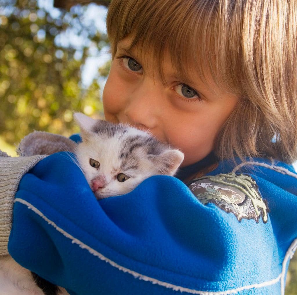 Niño abraza a un gatito