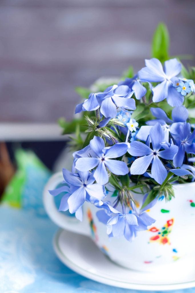 flores azul baby blue