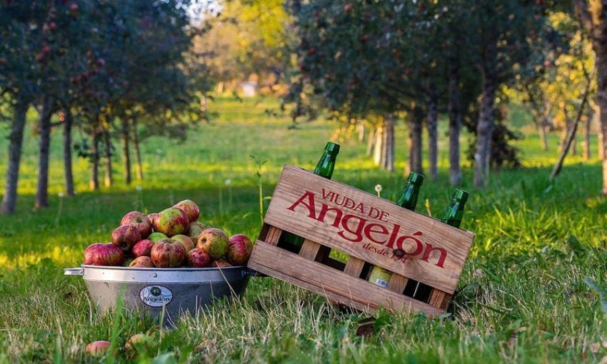 Sidra Viuda de Angelón en Nava.