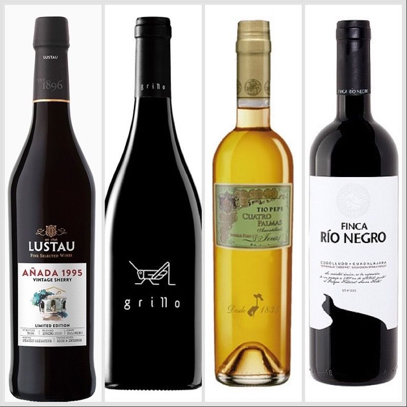 Otros vinos: Lustau 1995; Grillo 2016; Fino 4 Palmas y Finca Río Negro