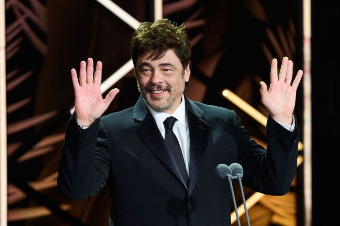 Benicio del Toro 