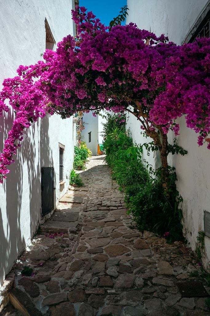 castellar-DE-LA-FRONTERA-calles