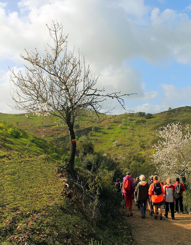 rutas-almendros-algarve