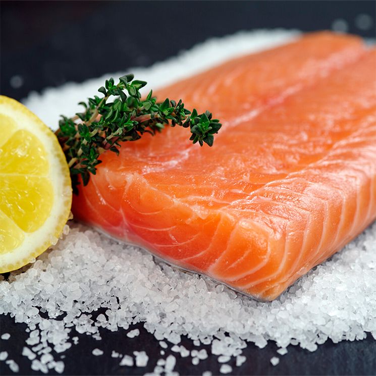 salmon sal age